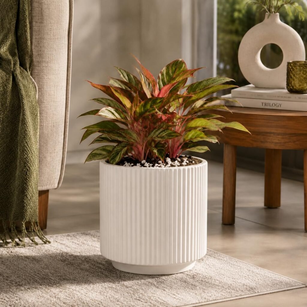 elaris Elegant Ribbed Ceramic Planter for Indoor Plants | Contemporary Textured Flower Pot for Living Room, Bedroom, Office Desk, Shelf & Tabletop Décor (White) 3.74 inch